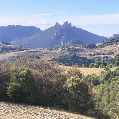 Les dentelles de Montmirail